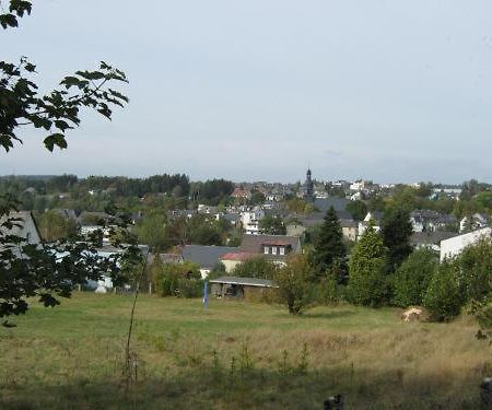 Gasthof Napoleon Selbitz Exteriér fotografie